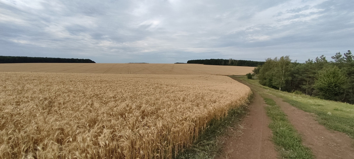 Ну и куда же без заваленного горизонта?