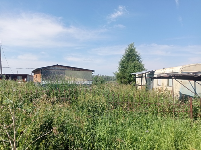 ��� ������� ��������