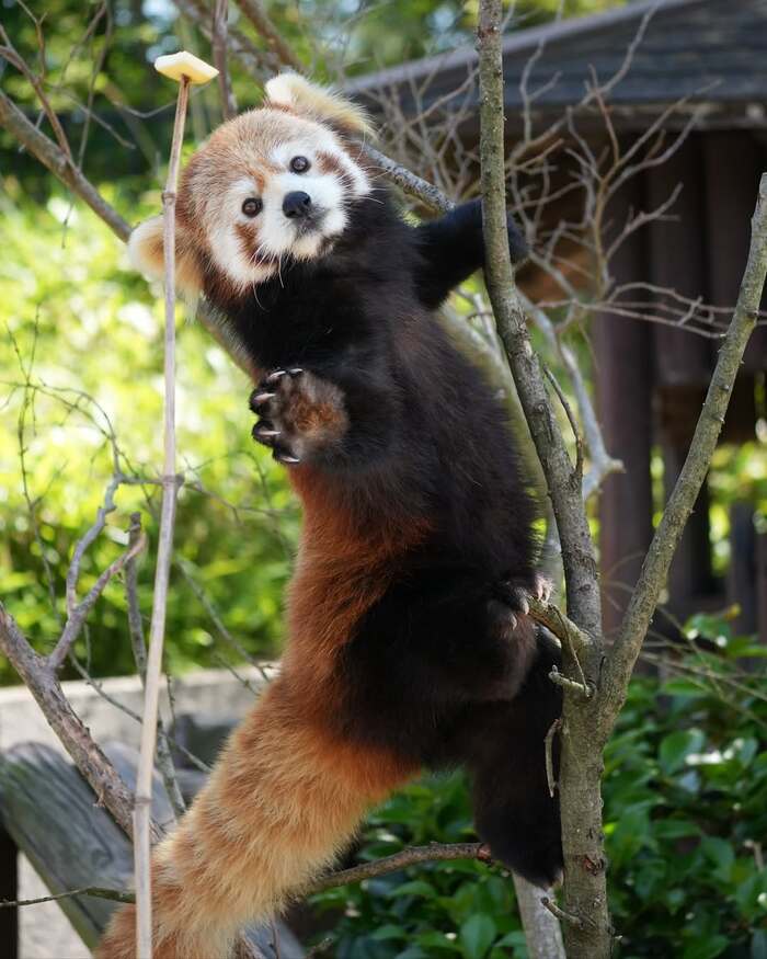    ,  ,  , , , , 