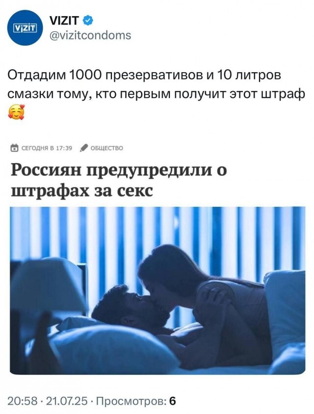 Vizit     10   ,          , , , ,  ()