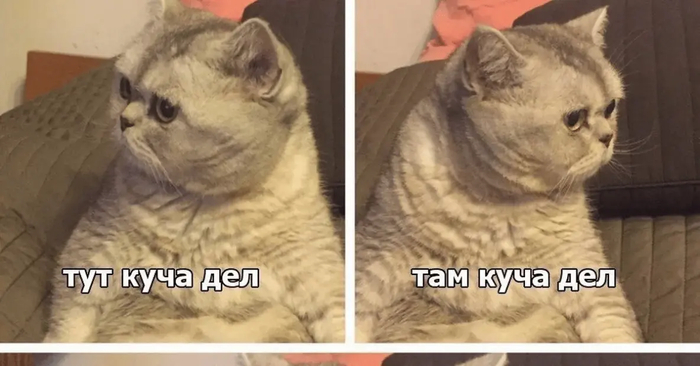  ,     10         ,  , 