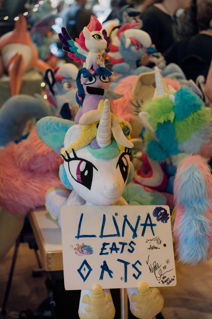    My Little Pony, Princess Celestia, Twilight Sparkle, Zipp Storm