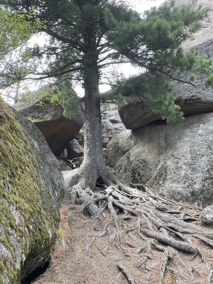 ����� ������ ������� �� ���������� ��� ������� � ��������� �������)