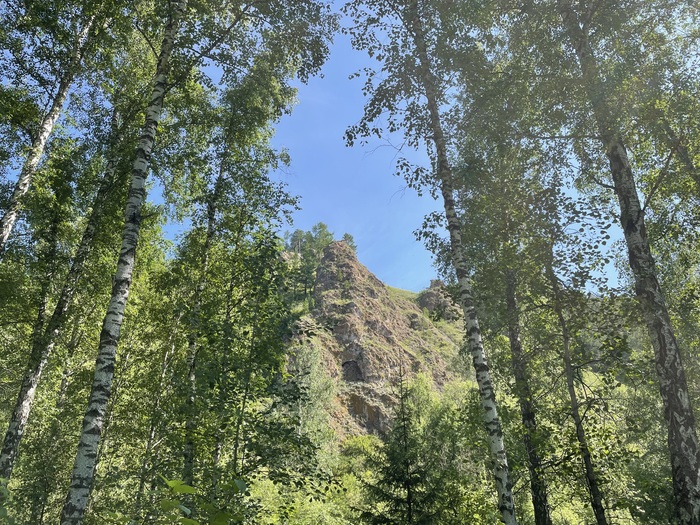 � ������ ���� ��������� ���� ��������� ������������ ������