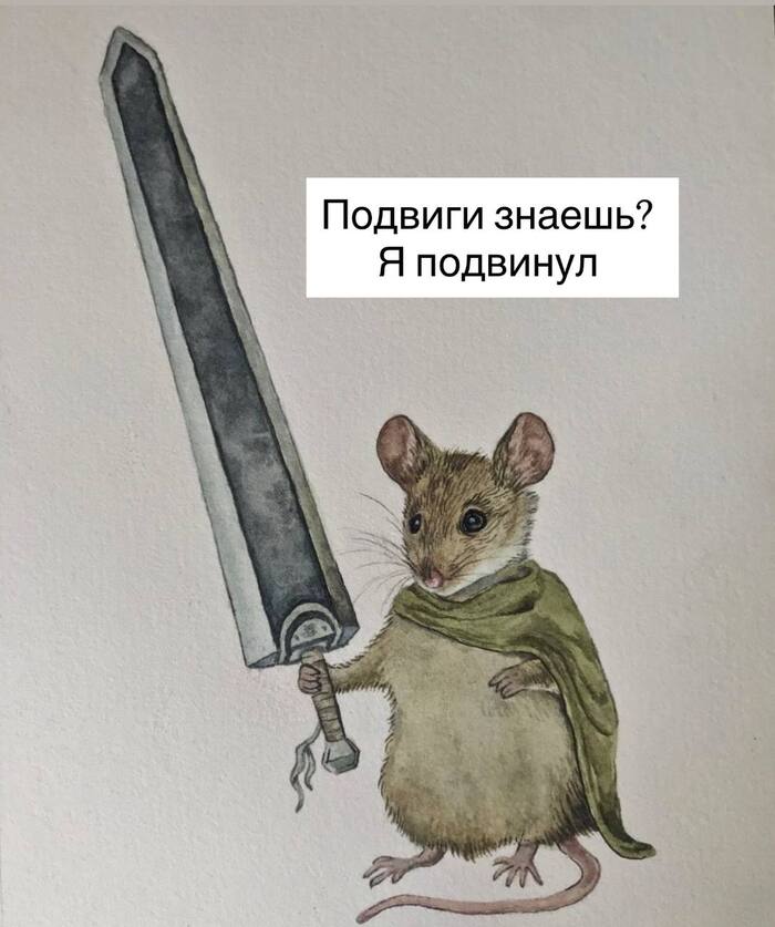  ?  ! ,  , , , , ,   , , 