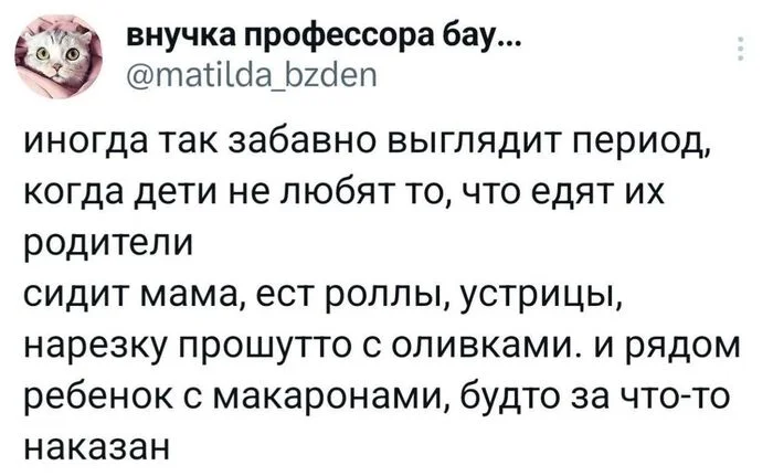 xoebdztw.webp