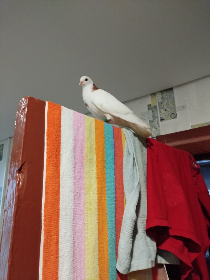 ��� �����. 