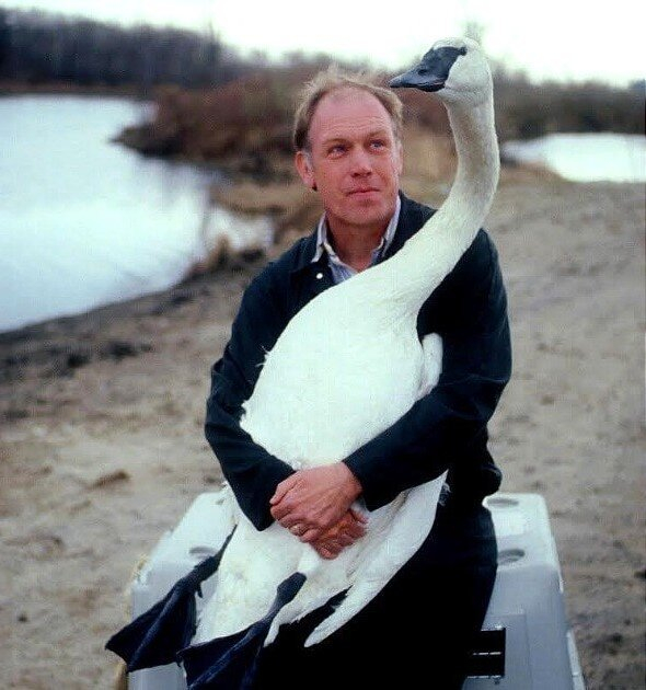 Дорогой, это не то, что ты подумал!