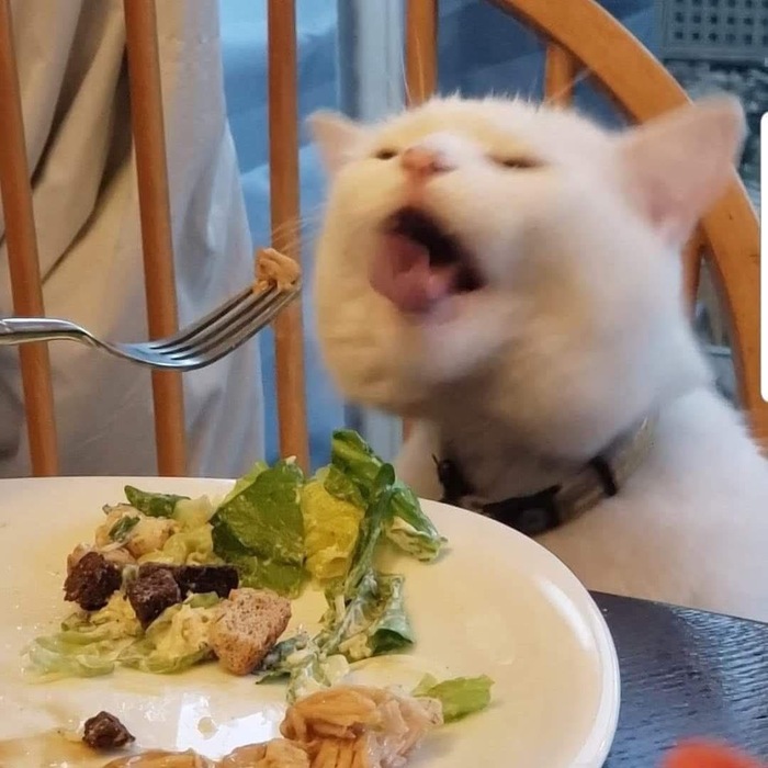    , , 