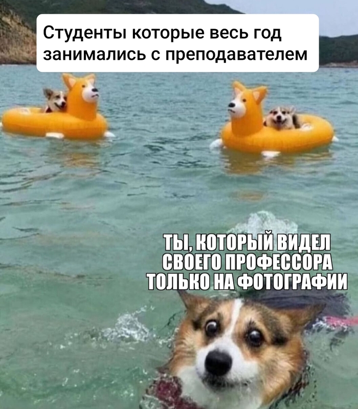 �� ������ ����