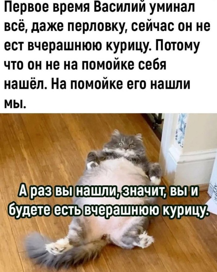    ,   , , , ,  , , , RUTUBE