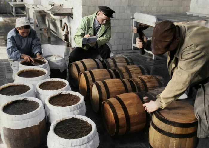 Подборка простых и потрясающих фотографий эпохи СССР. 20 раскрашенных фотографий. Часть 27 20 век, Старое фото, Фотография, СССР, Детство в СССР, 60-е, 70-е, 80-е, 50-е, 40-е, Колоризация, Длиннопост