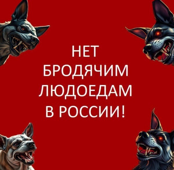   !!!  , , ,  , , , ,  (), 