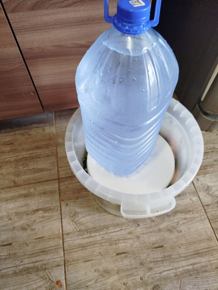 ведёрко +гнет + 5л