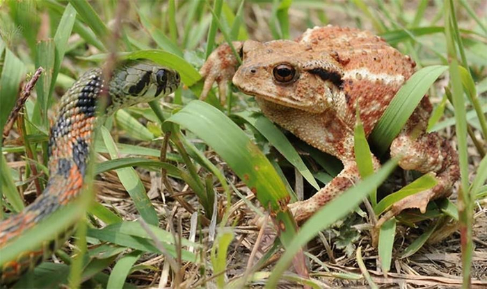 Ты смотришь на меня, я смотрю на тебя — искра, буря, безумие.