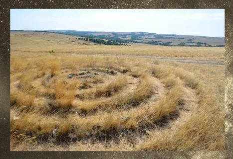 Круги на полях