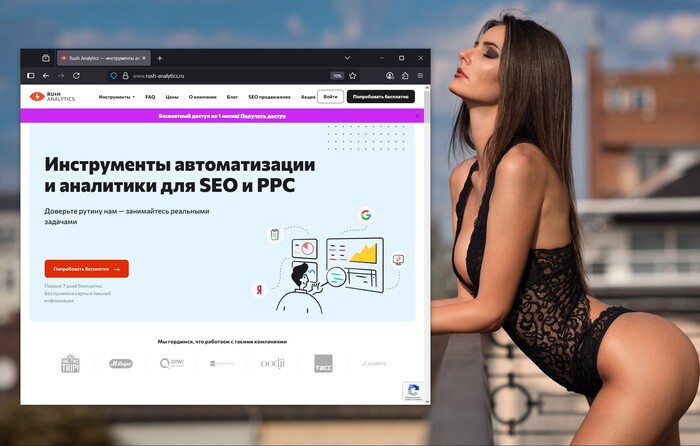 Rush Analytics:  ,       .