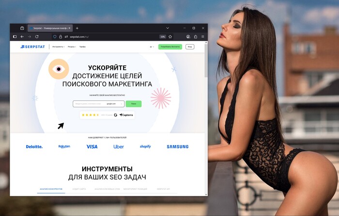 Serpstat:   ,      .