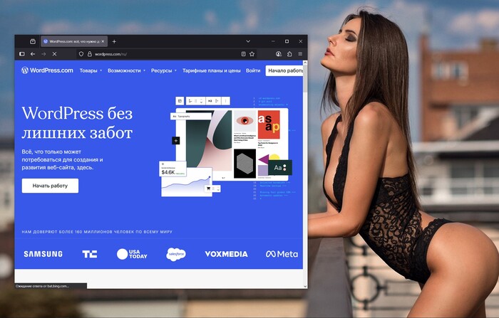 WordPress: , -         .