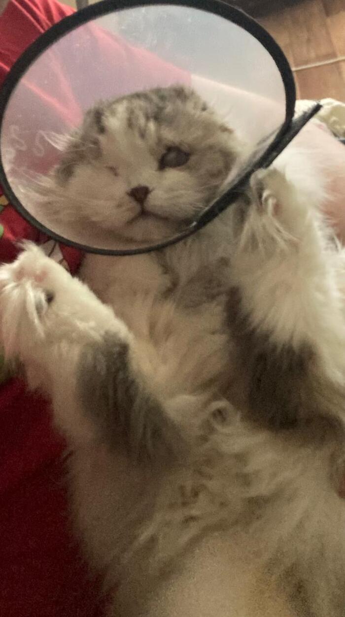  .       ,        .        .          ,     .