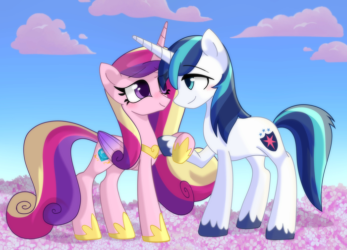   My Little Pony, Princess Cadance, Shining Armor