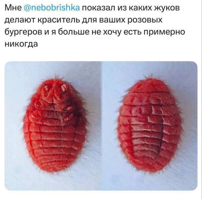    X (Twitter), ,   , , , , , 
