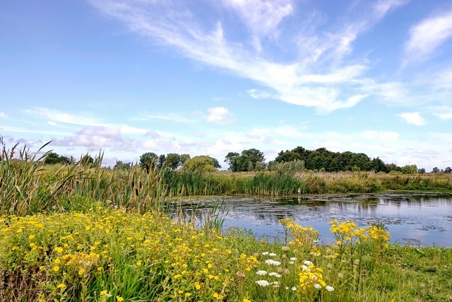 Приятно побродить в этом райском уголке...