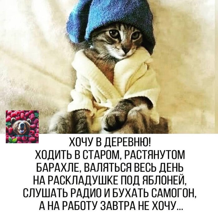   , , , , , , , ,   