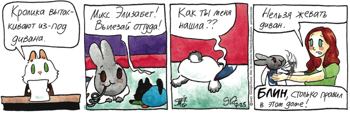   25.07.2025 ,   (), , 
