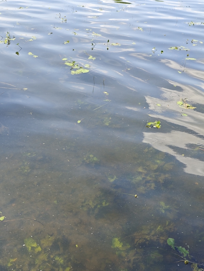 Снимал через полярики