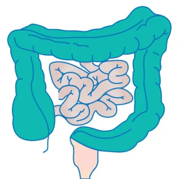Всё сине-зеленое на выброс!