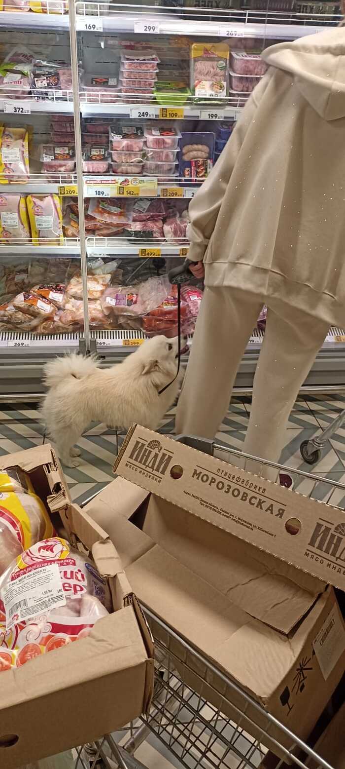     -  ? , , , ,  ,  , , , 