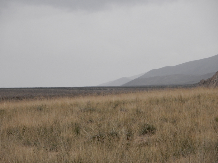         (  ,      1 ),   ,      .  - -    