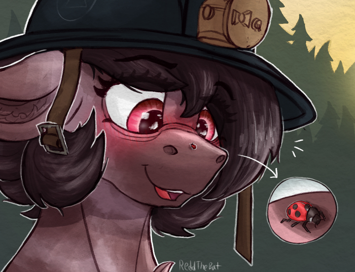     My Little Pony, Original Character, Reddthebat