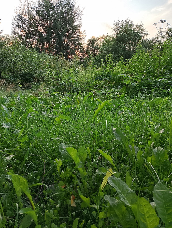 Как компания усе инструменты теряет клиентов на ровном месте