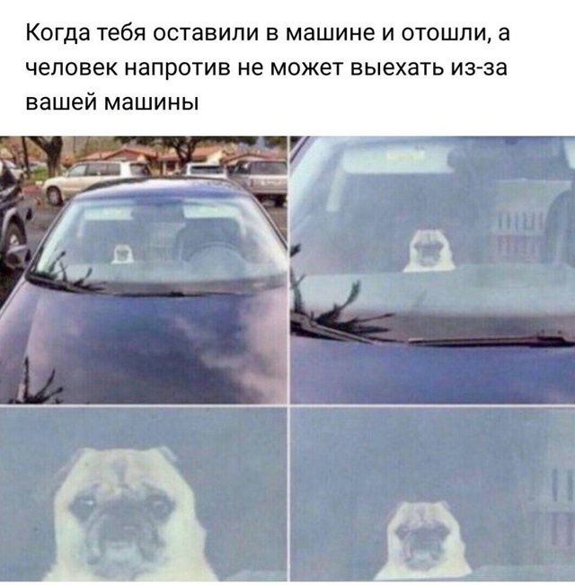    , , 