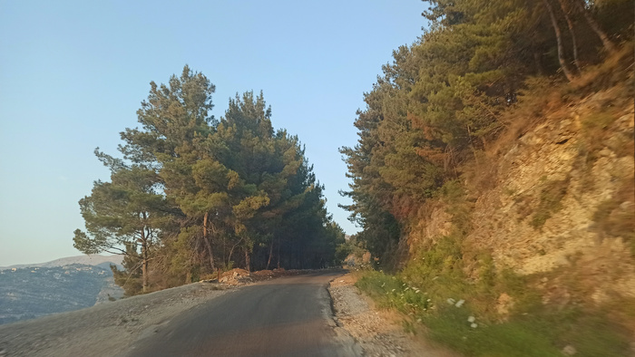      ,  , , , , , , 