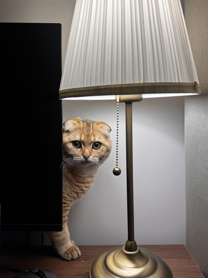 � ������� ��������