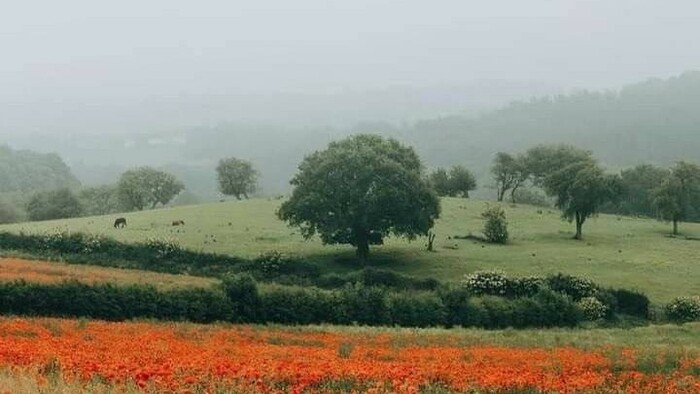 Источник: <!--noindex--><a href="https://pikabu.ru/story/zolotaya_skorb_novella_13015829?u=https%3A%2F%2Fauthor.today%2Fwork%2F386876&t=https%3A%2F%2Fauthor.today%2Fwork%2F386876&h=0435f6eb368aab43f31fb5fe79da1a2d465e4622" title="https://author.today/work/386876" target="_blank" rel="nofollow noopener">https://author.today/work/386876</a><!--/noindex-->