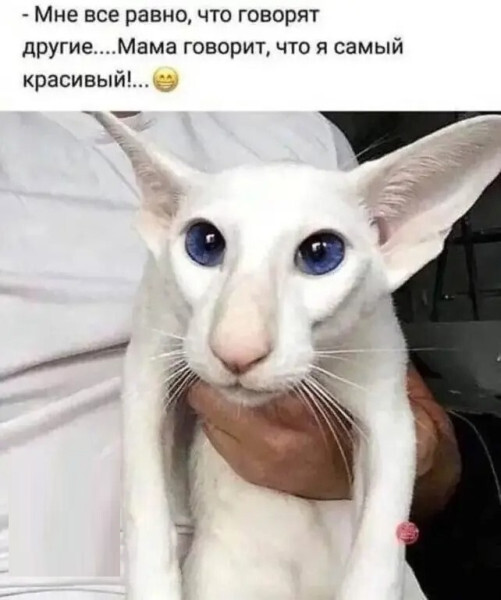    ,   , , , ,  