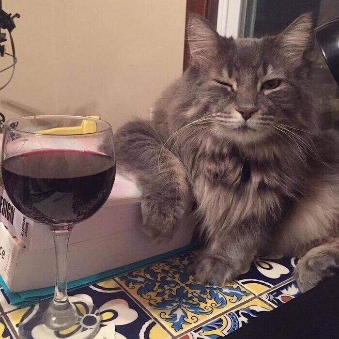    Volkswagen Passat B8.    