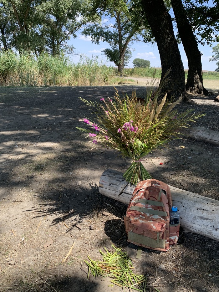 Полевой букет