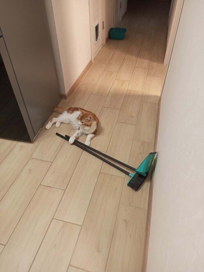 ,    ?! -, ,  , , 