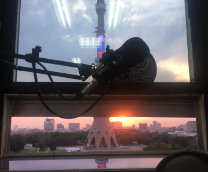 �����������