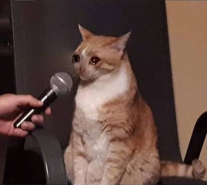      , , , ,   , , , 