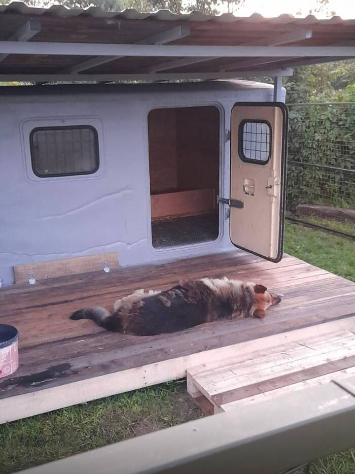 Счастью Пирата нет предела