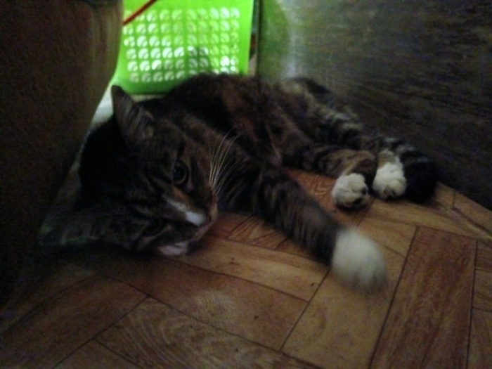      , , , ,  , , , , , , , , 