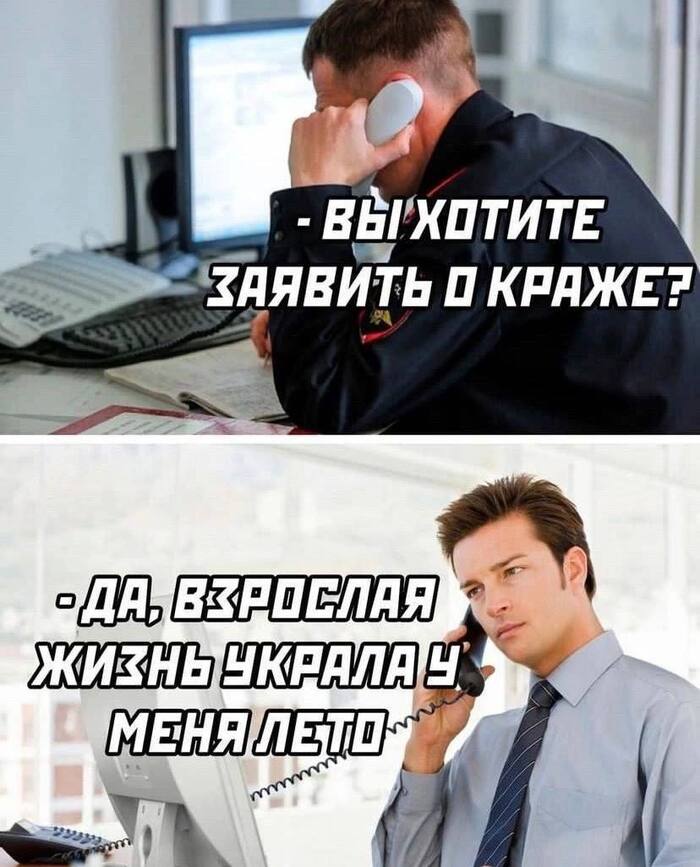   ,    ,  (), , Telegram ()