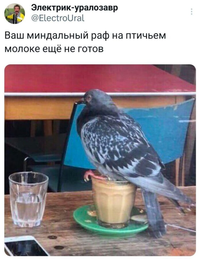    ,     X (Twitter), , , -
