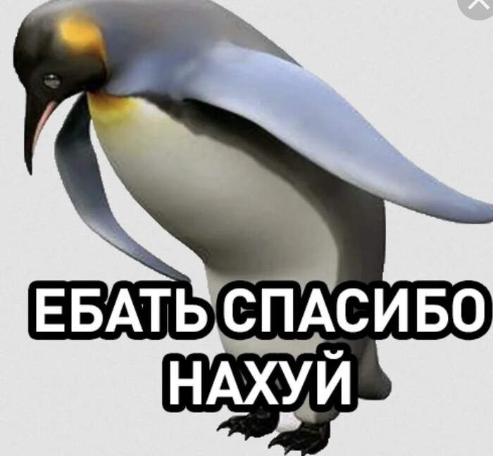 �������, ������� � ���� ����������������, � ����� ���������.